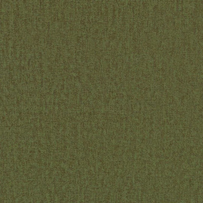 KAMELEON