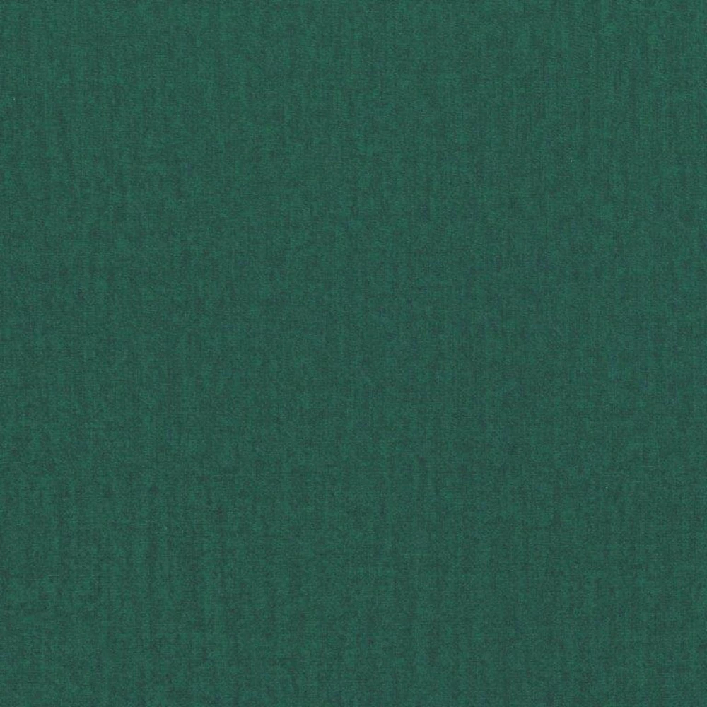 KAMELEON 37